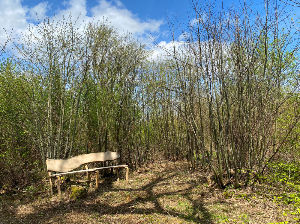 A large rustic bench in a private clearing
