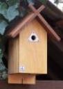 Birdboxes