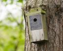 A homemade birdbox