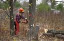 chainsaw2.jpg
