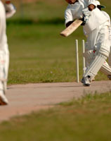 Cricket Bat Willow