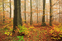 floortoceiling.jpg