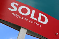 Forests.co.uk – buying and selling woodlands