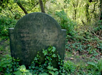 green-burial.jpg