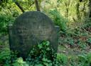 green-burial.jpg