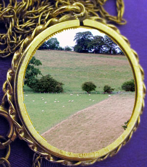 Is land the “new gold” for investors?  What might this mean for woodland owners