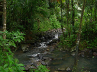 Nature Trail