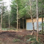 new-woodland-shed