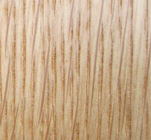 oak-grain