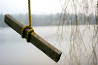Rope swing