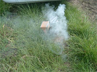 Bee Friendly! Part 2 – Smoking the Hive