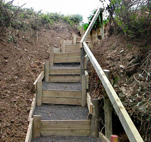 Woodland steps – part 2