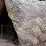 thatched-shelter