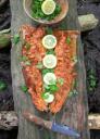 Wild food