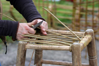 Willow weaving