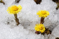 Emerging from the Winter weather