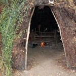 wood-shelter