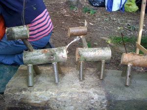 Making wooden animals in your woodland