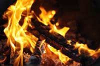 woodfuel.jpg
