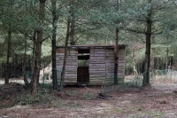 Wooden Shelter
