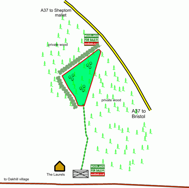 Lapwing Wood - SOLD map