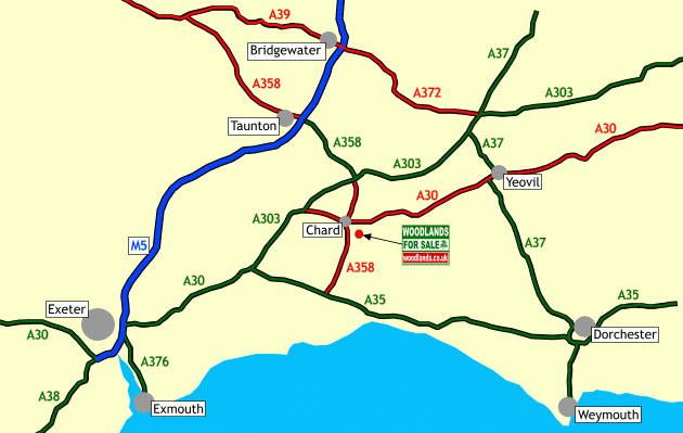 Lyme Wood - SOLD map