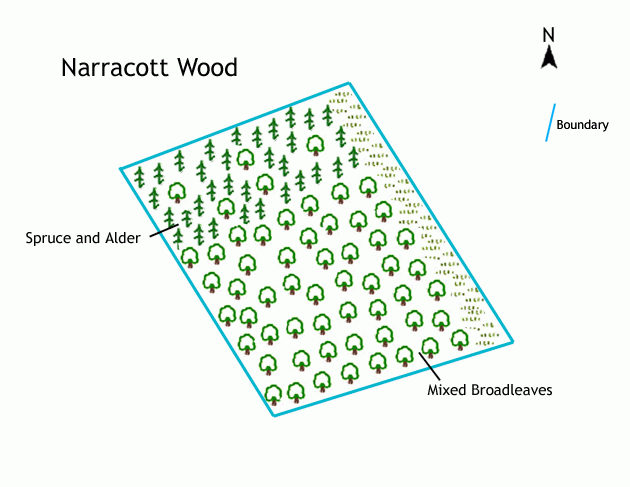 Narracott Wood - SOLD map