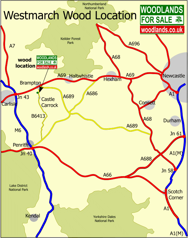 Westmarch Wood - SOLD map