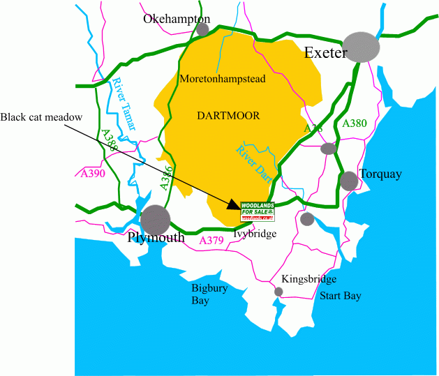 Click to view a full-size version Black cat meadow map