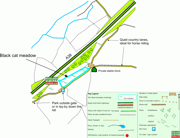 Click to view a full-size version Black cat meadow map