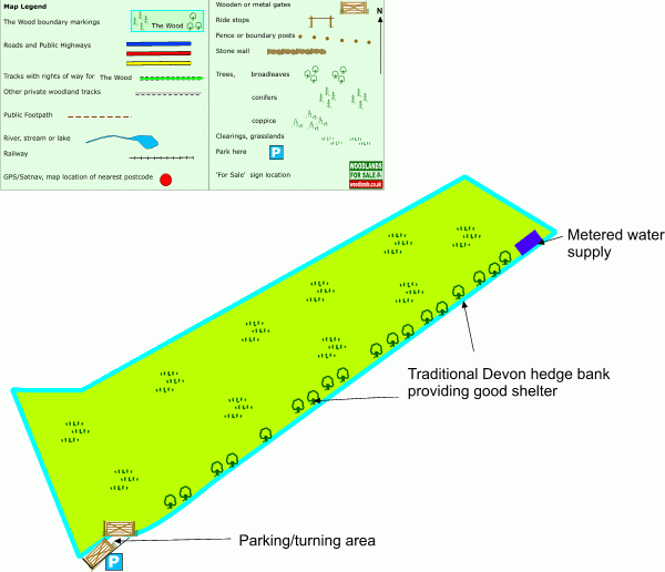 Black cat meadow map
