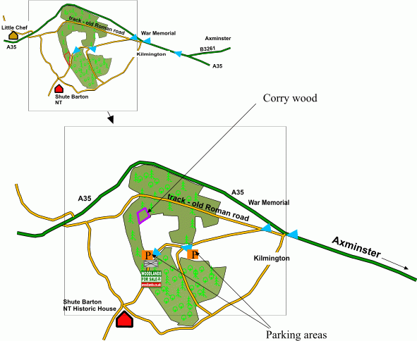 Click to view a full-size version Corry wood map
