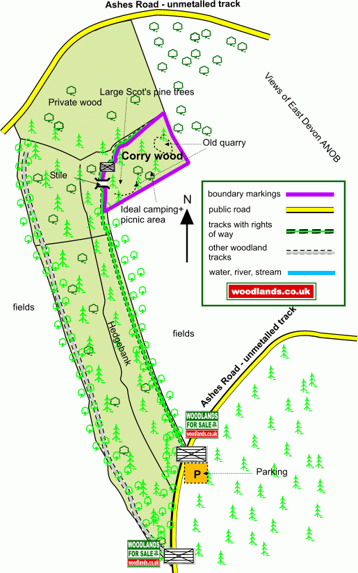 Corry wood map