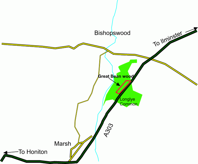 Click to view a full-size version Great Bean Wood map