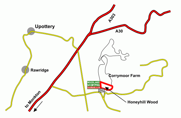 Click to view a full-size version Honeyhill Wood - SOLD map