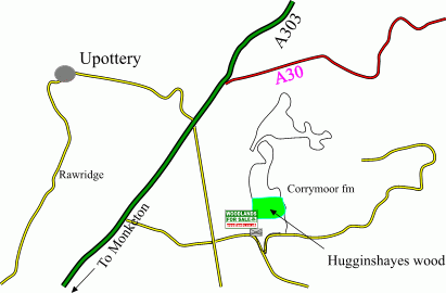 Hugginshayes wood map