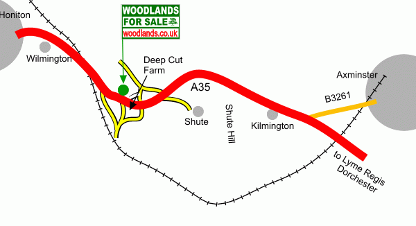 Click to view a full-size version Longrush meadow map