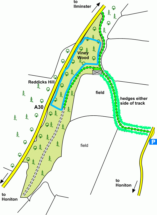 Click to view a full-size version Viney Wood map