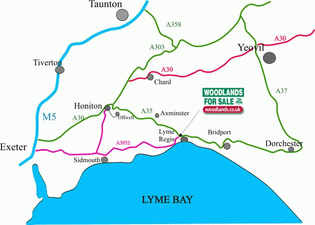 Click to view a full-size version Wyld Wood - SOLD map