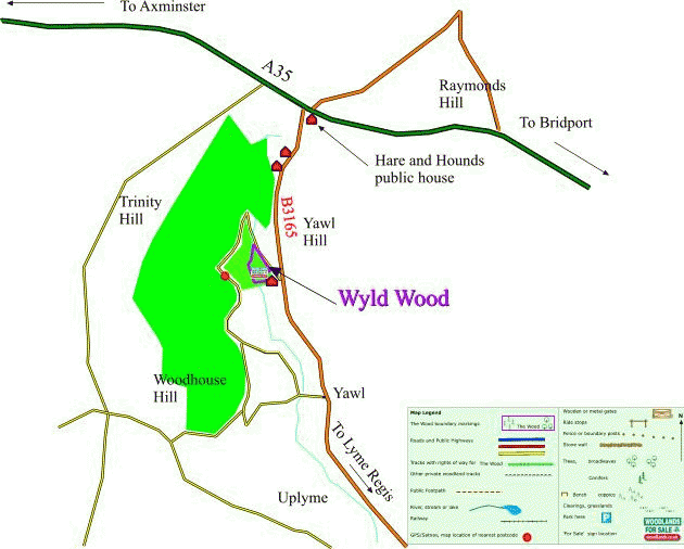 Click to view a full-size version Wyld Wood - SOLD map