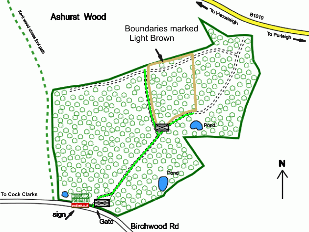 Ashurst Wood - SOLD map
