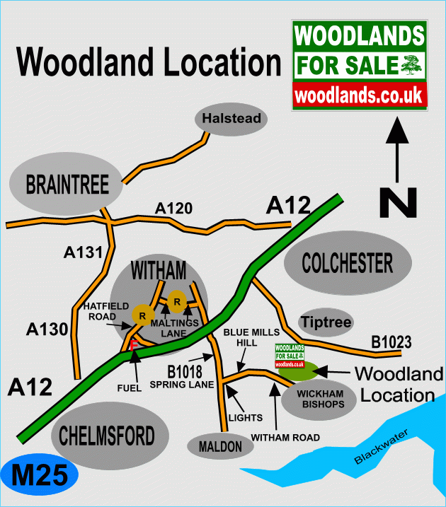 Click to view a full-size version Bear Wood - SOLD map