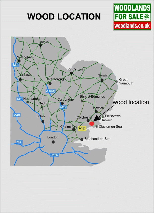 De Staunton Wood - SOLD map