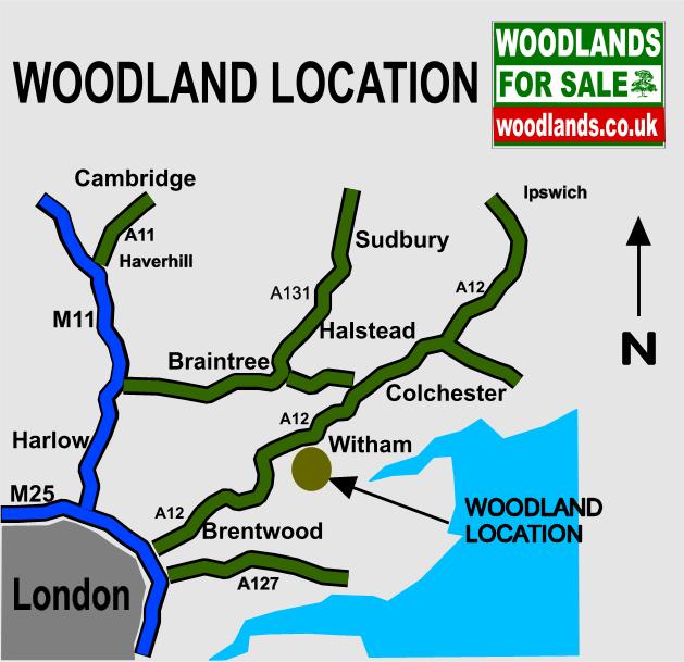 Elk Wood - SOLD map