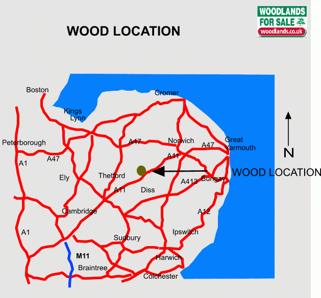 Fortress Wood map