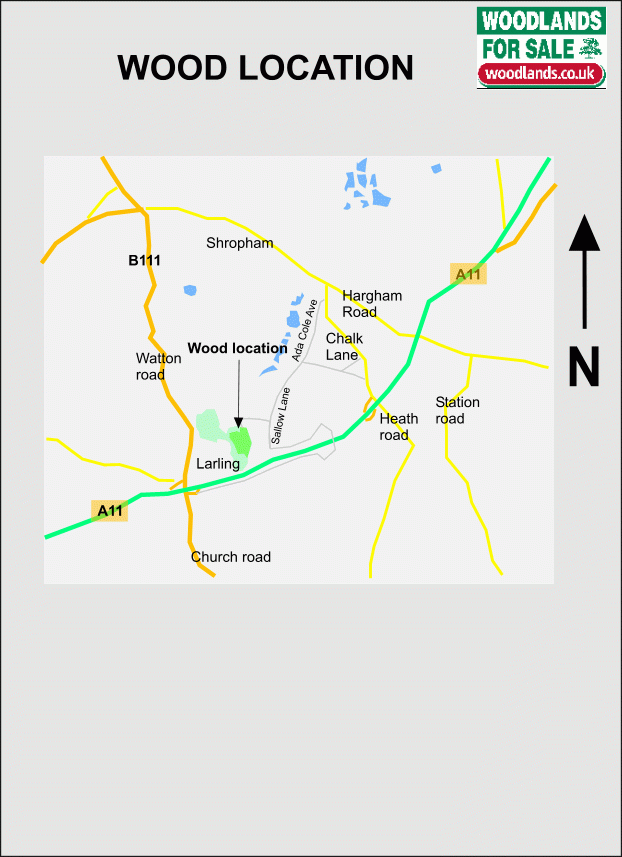 Fortress Wood map