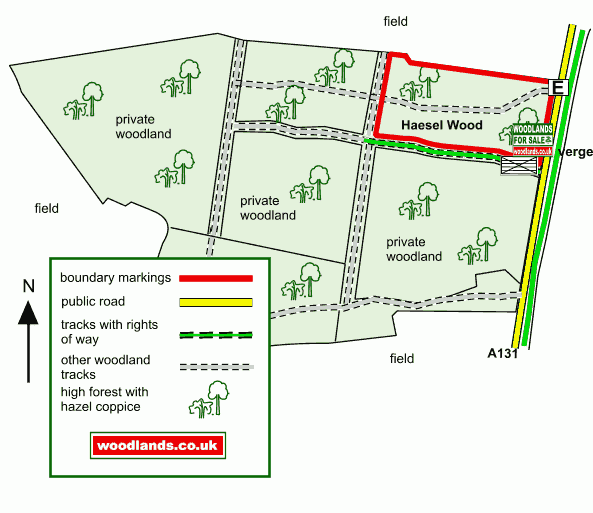 Haesel Wood - SOLD map
