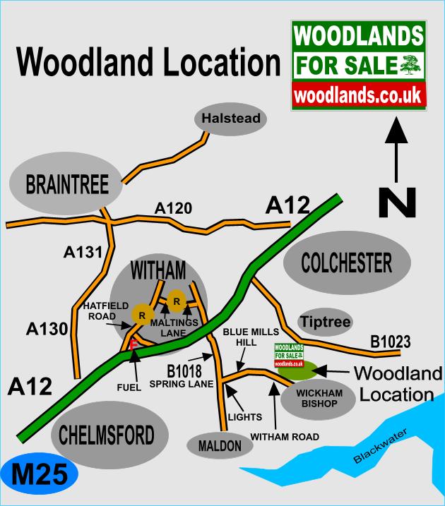 Click to view a full-size version Old Pond Wood - SOLD map