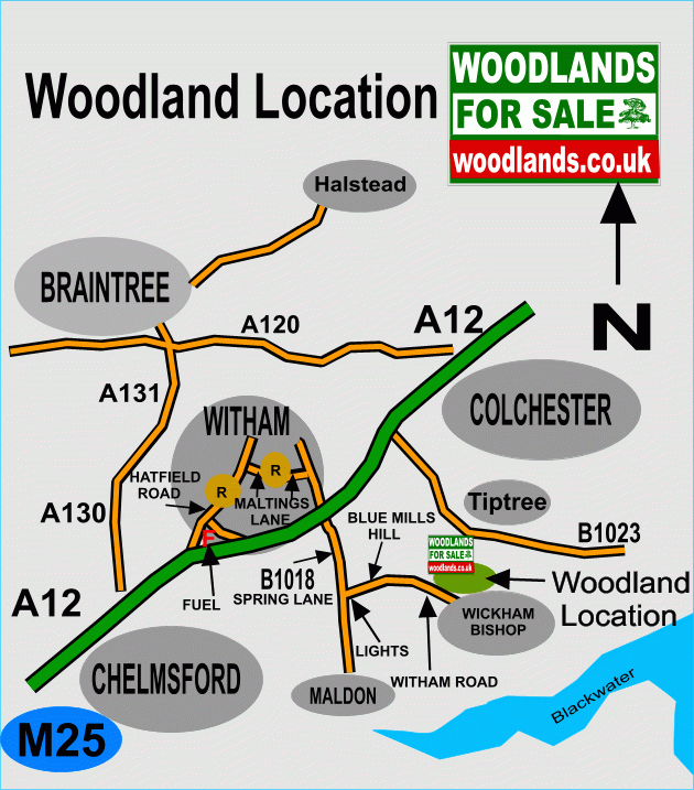 Click to view a full-size version Saxonbury Wood - SOLD map