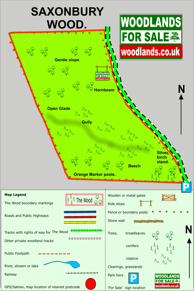 Saxonbury Wood - SOLD map